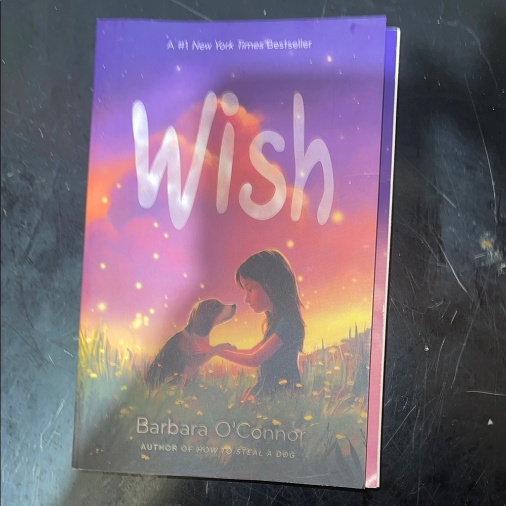 🏷️ Wish by Barbara O'Connor
